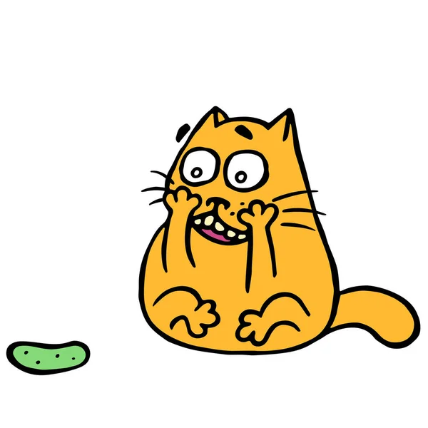 Schattige kat draaide en schrok van de verschrikkelijke komkommer. Vectorillustratie — Stockvector