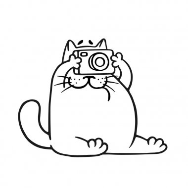 Komik şişman kedi fotoğrafçı. Vektör çizim