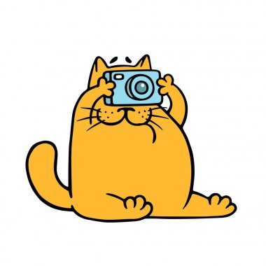 Karikatür turuncu kedi kamera ile fotoğraf çekmek. Vektör çizim