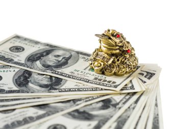 Para ve Doğu kurbağası beyaz bir arka planda zenginliğin bir işareti.