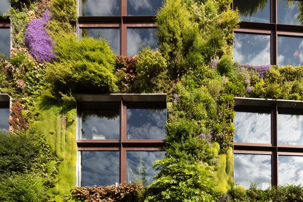 Ecological Green Wall in Paris, France. Plants, flowers and windows with cloud reflections. — Stock Photo, Image