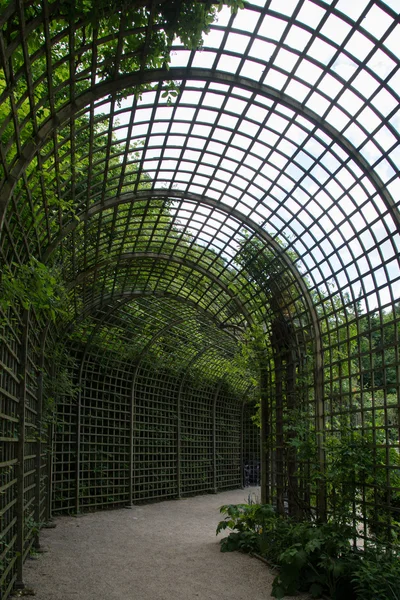 Houten pergola als een tunnel met bomen aan een kant. Park in Versalles, Frankrijk. Rechtenvrije Stockfoto's