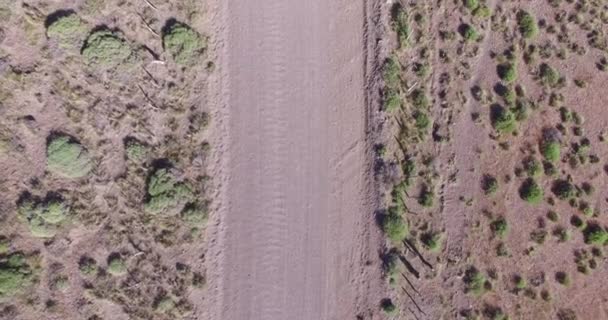 Aerial scene, top view of gravel road in a steppe landscape. Sandy, dry zone. Van passes through the road. Patagonia, Argentina. — Stock Video