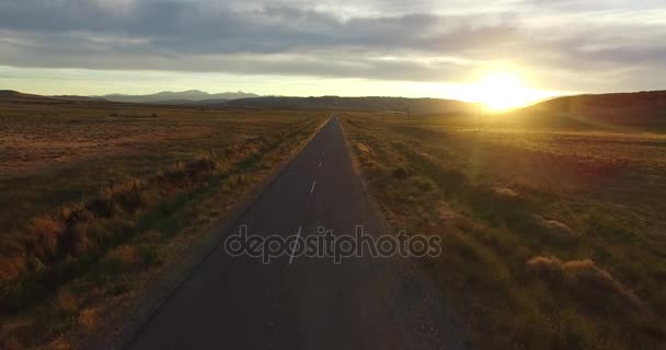 Drohnen-Szene bei Sonnenuntergang goldene Stunde der Route in der Steppe. Berge im Hintergrund. Kamera fliegt über Straße. Wüste ländliche Landschaft, Patagonien Argentinien. — Stockvideo