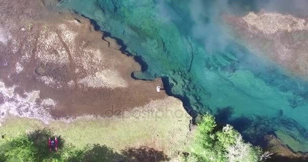 Aerial drone scene top view of green river in south Patagonia, Argentina. Wild woods. — Stock Video