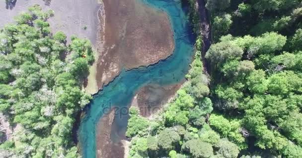 Pohled shora letecké dron scénu z green river v Jižní Patagonie, Argentina. Divoké lesy. — Stock video