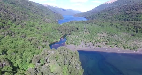 Letecká drone scéně zelené jezero a řeka v Jižní Patagonie, Argentina. Divoké lesy a náklady na jezera s tmavým vulkanickým pískem a láva ze sopky, kemp zóny. Fotoaparát posouvání doleva na cestách. — Stock video