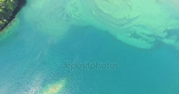 Escena aérea de drones desde la vista superior hasta la vista frontal del lago verde con muchos sedimentos del río en el sur de Patagonia, Argentina. Bosques salvajes y el costo de lago con arena volcánica oscura y lava de un volcán — Vídeos de Stock