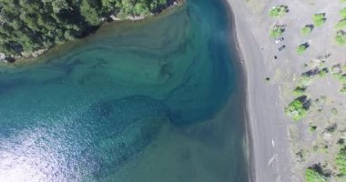 Yeşil nehir ağzı ve Gölü Güney Patagonia, Arjantin için hava uçak sahnesi. Vahşi orman ve göl koyu volkanik kum ile maliyetini, kamp için harika yer. Kamera hareketli ve aşağı dönük.