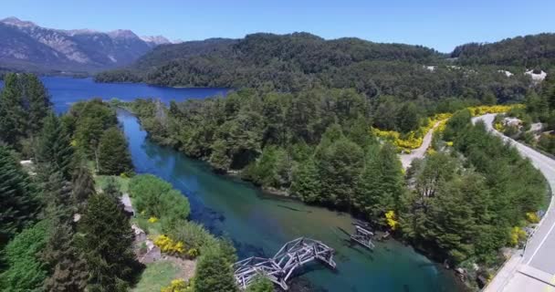 Escena aérea de drones de ruta en el sur de Patagonia Argentina, río y lago Correntoso, planta amarilla a ambos lados de la calle. Cámara moviéndose hacia atrás y el tráfico aparece cabalgando sobre el puente . — Vídeos de Stock