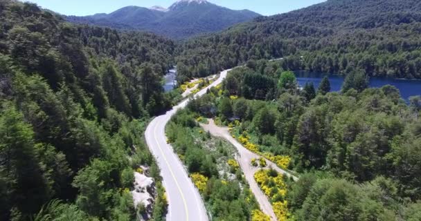 Escena aérea de drones de ruta en el sur de Patagonia Argentina, río y lago, plantas amarillas a ambos lados de la calle. Cámara moviéndose hacia adelante y puentes aparece, vieja madera rota y nueva . — Vídeo de stock