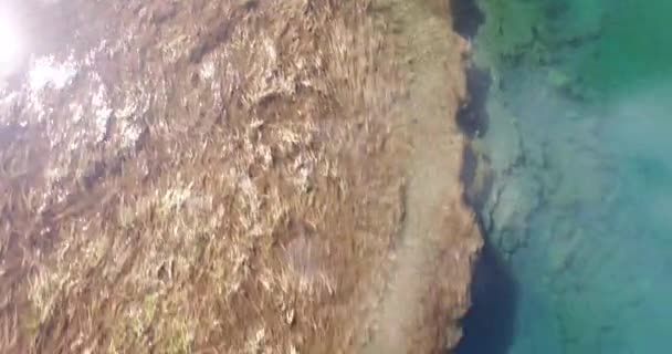 Drone aereo scena del fiume. Fotocamera che si muove all'indietro, vicino all'acqua e ascendente. Alberi appare molto vicino alla fotocamera. Patagonia, Argentina . — Video Stock