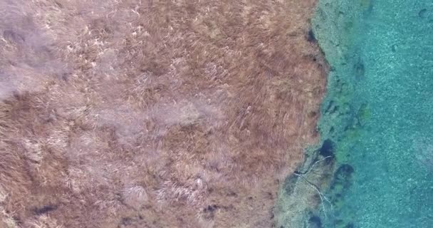 Escena aérea de drones vista superior del río verde. Cámara moviéndose hacia atrás, cerca del agua Patagonia, Argentina . — Vídeos de Stock