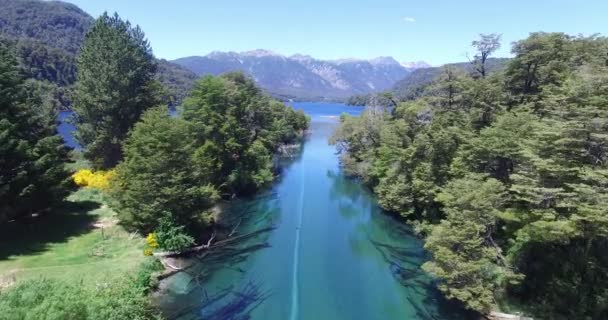 Luchtfoto drone scène van ruca malen river zijrivier van Correntoso lake, Patagonië Argentinië. Hoge uitzicht op turguioise, transparante, cristal duidelijk rivier en inheemse bossen van Lanin nationaal park. Ruta 40. — Stockvideo