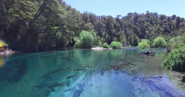 Cena de drone aéreo de rio transparente, turquesa, ruca malen, cercado de madeiras, lanin parque nacional. Costa arenosa, árvores debaixo de água. A câmara sobe para uma vista aérea. Patagônia, Argentina. 4K — Vídeo de Stock