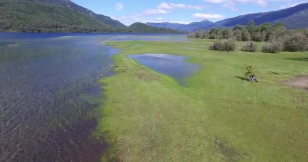 Drohnen-Szene von der grünen Grasküste des Sees in Patagonien Argentinien. Die Kamera bewegt sich schnell auf das Ende der Halbinsel zu. san martin de los andes. — Stockvideo
