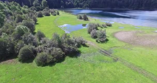 アルゼンチン パタゴニアの緑湖沿岸の空中ドローン シーン。カメラ前方に移動します。草の上の車のホイール マーク. — ストック動画