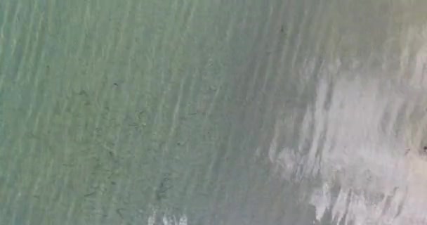Luchtfoto drone scène bovenaanzicht bewegen snel dicht bij de vloer loopt van het water naar het gras. Verwarrend en conceptuele scène. Haast, harry, bang, weglopen. — Stockvideo