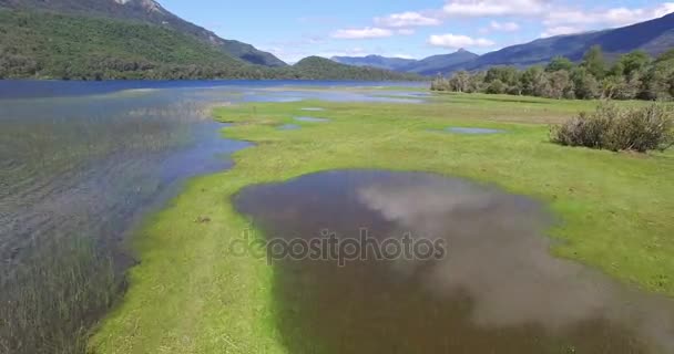 Zöld fű partján a Lacar lake, Patagónia Argentína légi drone jelenet. Visszafelé gyorsan mozgó kamera közel a flor és megy fel. San Martin de los Andes. — Stock videók