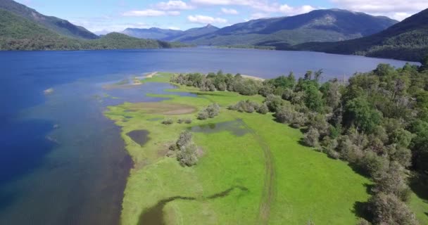 緑の草アルゼンチン パタゴニアの湖の海岸のシーンで空中ドローン。カメラの高速 lacar 湖に半島の端に立ち上がって前方を移動します。サン マルティン デ ロス アンデス。アルゼンチン パタゴニア. — ストック動画