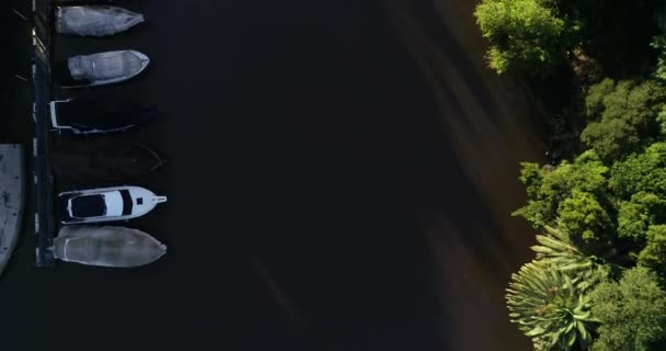 Senital aerial flying above river delta with sailboats and yatchs moored at shore. Gualeguaychu river, Entre rios, Argentina. — Stok video