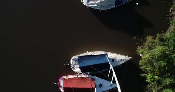 Escena aérea de aviones no tripulados volando sobre el mástil de varios veleros amarrados en la orilla del delta al atardecer. Vista senital. Gualeguaychu, Entre Rios, Argentina — Vídeos de Stock