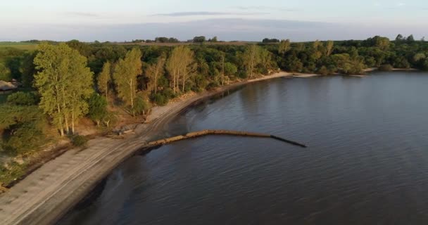 Повітряна безпілотна сцена пляжу на природному ландшафті під час заходу сонця. Політ уздовж піску і лісового берега річки Уругвай. Las Caas, Rio Negro Province, Uruguay — стокове відео