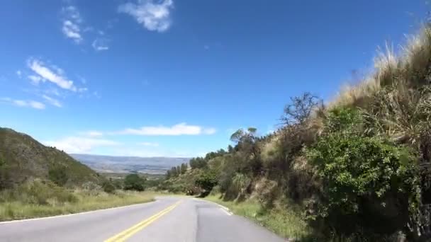 Yılanımsı bir yolda otlaklar, kayalık tepeler ve odunsu araziler boyunca sürüyorum. Yerli ekosistemler boyunca seyahat etmek. Cordoba, Arjantin — Stok video