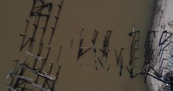 Aerial top view of old broken dock at Uruguay river. Senital detail of wood structure, birds flying and water movement, ripples. Fray bentos, Anglo, Unesco, Uruguay — Stockvideo