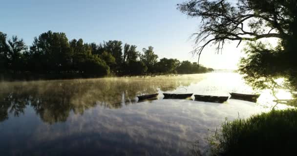 Escena del amanecer. Niebla dorada, vapor, moviéndose en la superficie del río con silueta de botes rawing y curva natural del río en backgound. Mañana tranquila y tranquila en Mercedes, rio Negro, Uruguay — Vídeos de Stock