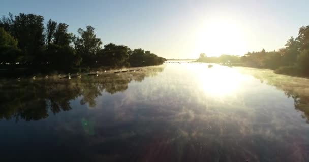Gün doğumu sahnesi. Altın sisli, buharlı, nehir yüzeyinde, çiğ tekne silueti ve arka planda doğal nehir kıvrımlarıyla hareket eden. Nehrin üzerinden uçmak, ışık hacmi. Mercedes, Rio Negro, Uruguay — Stok video