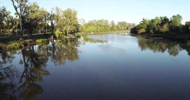 Escena aérea de drones volando a lo largo del río en la mañana brumosa. Reflexiones, bosques. Vegetación ribereña. Río Negro, Soriano, Mercedes, Uruguay — Vídeos de Stock