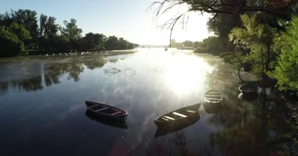 Gün doğumu sahnesi. Altın sisli, buharlı, nehir yüzeyinde, çiğ tekne silueti ve arka planda doğal nehir kıvrımlarıyla hareket eden. Suyun üzerinde uçmak, hacim ışığı. Sabah Mercedes 'te, Rio Negro, Uruguay — Stok video