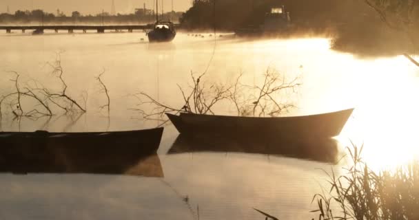 Golden foggy morning on a river, movement of mist over water surface passing through old rowing boats. Volume light and flares. Mysterious, calm scene. Rio Negro, Mercedes, Uruguay — Stock Video