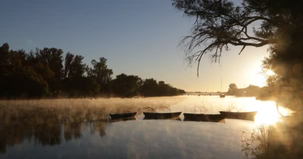 Nehirde altın sisli bir sabah, su yüzeyinde sislerin hareketi, eski kayıkların silueti. Cilt ışığı ve fişekler. Gizemli, sakin bir sahne. Rio Negro, Mercedes, Uruguay — Stok video