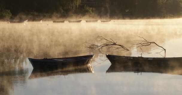 Golden foggy morning on a river, movement of mist over water surface passing through old rowing boats. Volume light and flares. Mysterious, calm scene. Rio Negro, Mercedes, Uruguay — Stock Video