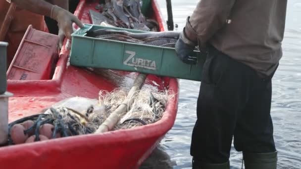 Fisherman moving box with fresh fishes at small boat on brown river. Close up of man hands. Net and fish objetcts at backgorund. — ストック動画