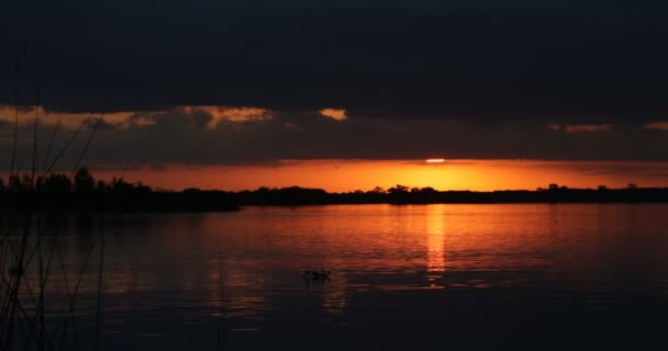 Natürliche Uferlandschaft bei Sonnenuntergang. Sonnenreflexion über der Wasseroberfläche, während sie hinter einer Wolke erscheint. Bewegung der Wasserströmung mit bunten Spiegelungen des Himmels — Stockvideo