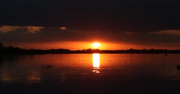 日落时的自然海岸景观. 当太阳在水面上反射时,它就从云后出现了. 水流的运动与天空五彩斑斓的反光 — 图库视频影像