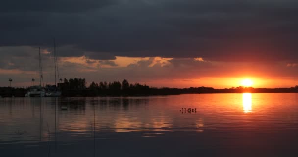 Piękny zachód słońca nad rzeką Rio Negro. Pomarańczowe i czarne odbicia słońca i chmur po prawej. Marine z żaglówkami zacumował po lewej. Podróże, wakacyjna scena. Styl życia. Willa Soriano, Urugwaj — Wideo stockowe