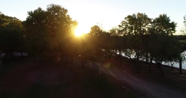 Scène aérienne de coucher de soleil orange sur une rivière naturelle et sauvage. En montant du plancher du parc à la découverte d'une vue panoramique de la rivière et kayak aviron solitaire. Torches et lumière volumique. Dolores ville, Soriano, Uruguay — Video