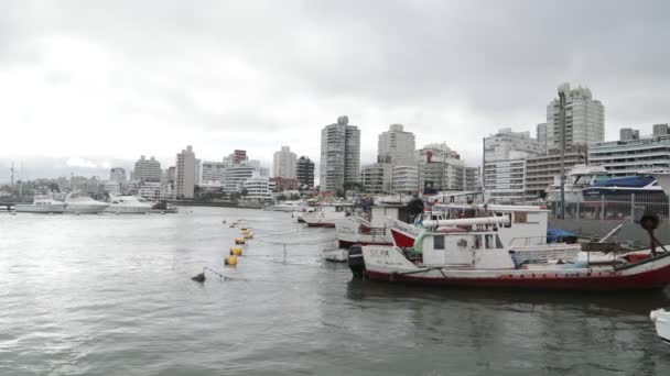 Σκηνή αργής κίνησης των σκαφών Fishermans και τουριστικά σκάφη αγκυροβολημένα με σημαδούρες για να δέσει. Πούντα ντελ Έστε αστικό τοπίο στο Μπάκγκορουντ. Θλιβερή ζοφερή μέρα. Μαλντονάντο, Ουρουγουάη — Αρχείο Βίντεο