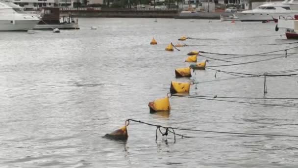 Mouvement lent de la disposition linéaire des amarrages au port. Gros plan des bouées attachées par des cordes à une rangée de bateaux au port. Punta del Este marines. Maldonado, Uruguay — Video