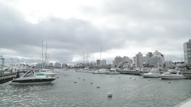 Rıhtım ve şamandıralara demirlenmiş yat ve yelkenlilerle limanın yavaş hareket etmesi. Kasvetli bir günde arka planda şehir manzarası. Punta del Este Limanı, Maldonado, Uruguay — Stok video