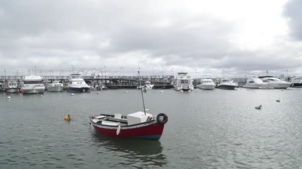 Lento movimiento de pequeño barco pescador rojo amarrado con boya en el puerto. Gaviotas volando detrás del bote. Yates y muelle en backgorund. Día nublado en el puerto de Punta del Este. Maldonado, Uruguay — Vídeos de Stock