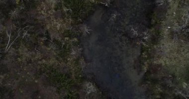 Orman ve kış dağlarıyla çevrili şelaleyi keşfeden vahşi nehrin en tepedeki havası. Akan suyun üzerinde uçarken aniden doğal uçurumun keşfi. Cascada Vullignanco, Neuquen