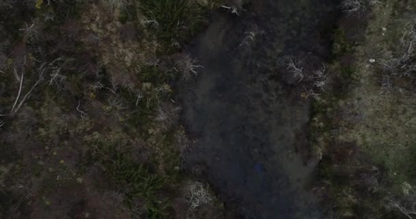 숲 과 겨울 산악 지대로 둘러싸인 폭포를 발견하는 야생 강의 정상. 흐르는 물 위를 날다가 갑자기 자연 절벽 이 발견되었습니다. Cascada Vullignanco, Neuquen — 비디오