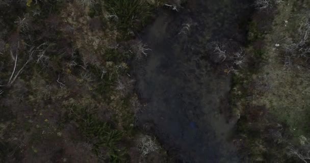 Haut de l'antenne d'une rivière sauvage à la découverte d'une cascade entourée de bois et de paysages montagneux hivernaux. Voler au-dessus de l'eau qui coule découverte soudaine de falaise naturelle. Cascada Vullignanco, Neuquen 