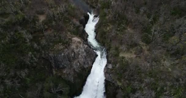 낙엽수림 과 야생 강 위를 날고 있습니다. 파타고니아의 파노라마같은 겨울 산악 지대 풍경. Nothofagus, Nequen, Argentina — 비디오