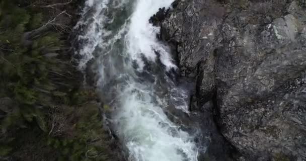 Aéreo voando em direção a cachoeira no inverno florestas decisivas. Montanhas Andes nevadas no fundo. Parque Nacional Lanina, Patagônia. Vullignanco, Neuquen, Argentina — Vídeo de Stock